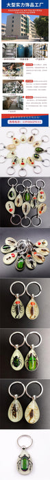 Wholesale Keychains Resin Taxidermy Amber Luminous 12pcs Random JDC-KC-YingM001