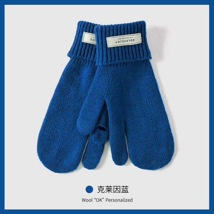 Wholesale Gloves Fleece Touch Screen Gloves MOQ≥2 JDC-GS-GuD007