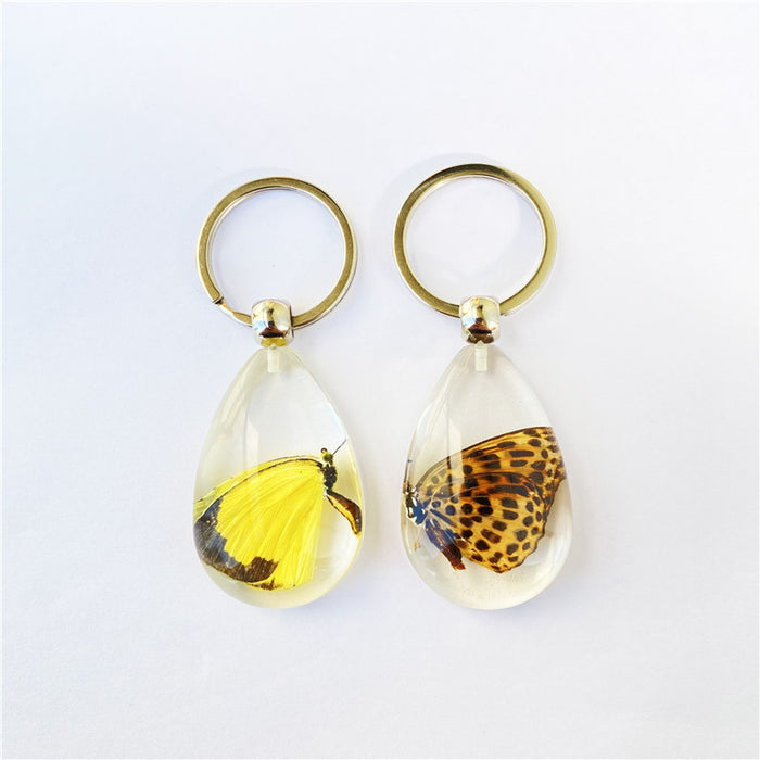 Wholesale Keychain Butterfly Specimen Resin Drop Adhesive MOQ≥6 JDC-KC-AWei003