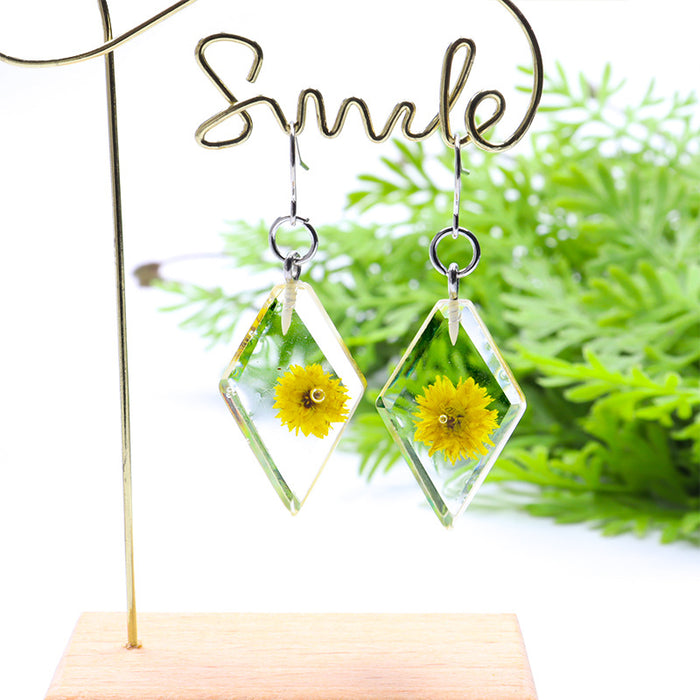 Wholesale dried plant flower pendant earrings small daisy JDC-ES-Songx031