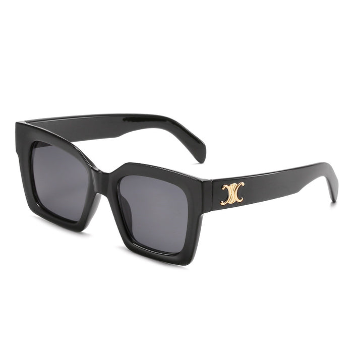 Wholesale Sunglasses PC Square Box Retro Punk （F） JDC-SG-OuGuang001