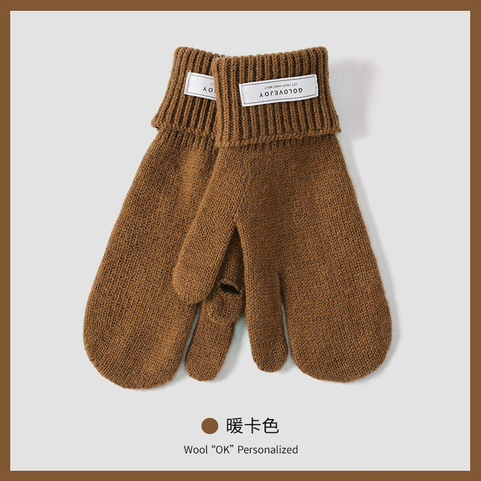 Wholesale Gloves Fleece Touch Screen Gloves MOQ≥2 JDC-GS-GuD007