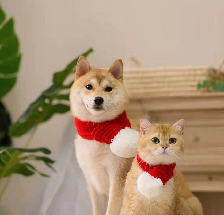 Cats de mascotas y perros al por mayor Bufanda navideña JDC-PC-tengy001