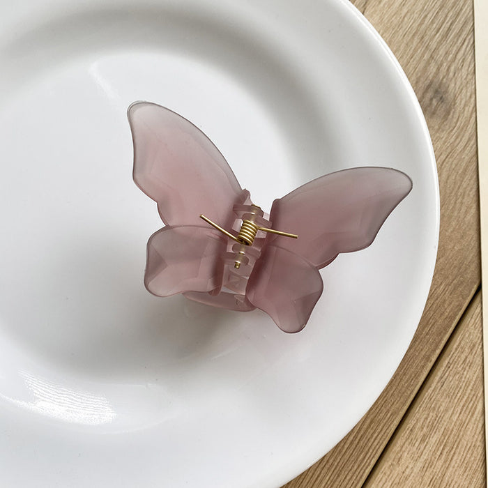 Wholesale Translucent Butterfly Grab Clip Summer Frosted Matte JDC-HC-YuTing003