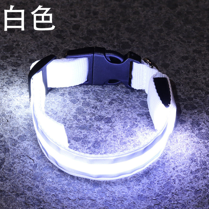 Wholesale Nylon Webbing LED Light Up Dog Collar JDC-FT-XuanD003