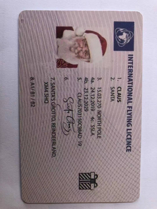 Wholesale Santa Driver's License Christmas Gift Greeting Cards MOQ≥2 JDC-DCN-ZMHW002