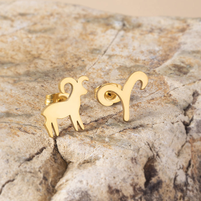 Wholesale 12 Constellation Stainless Steel Earrings MOQ≥2 JDC-ES-Fangt020
