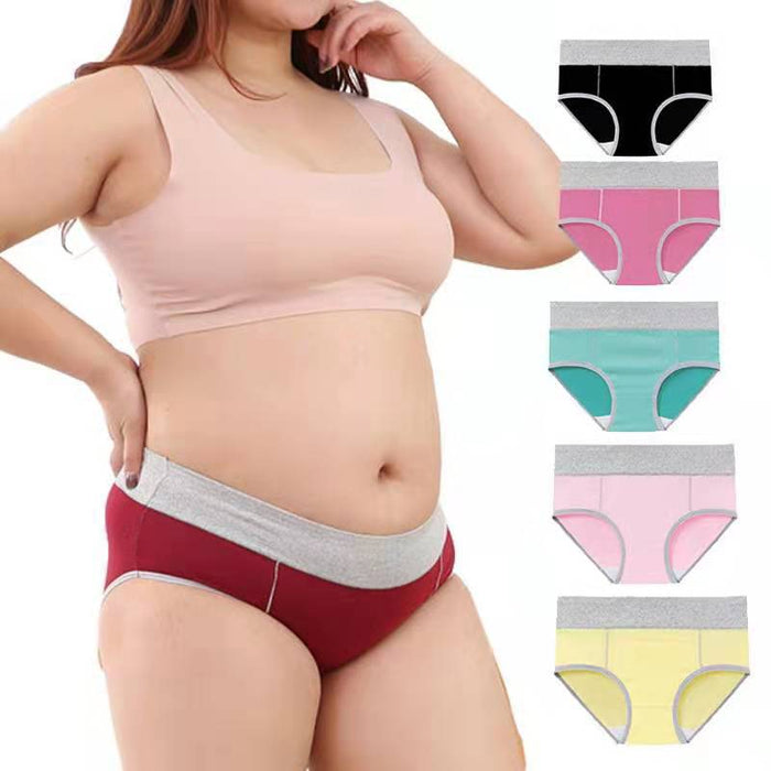 Wholesale Large Size Cotton High Waist Women Briefs JDC-BS-TengS001