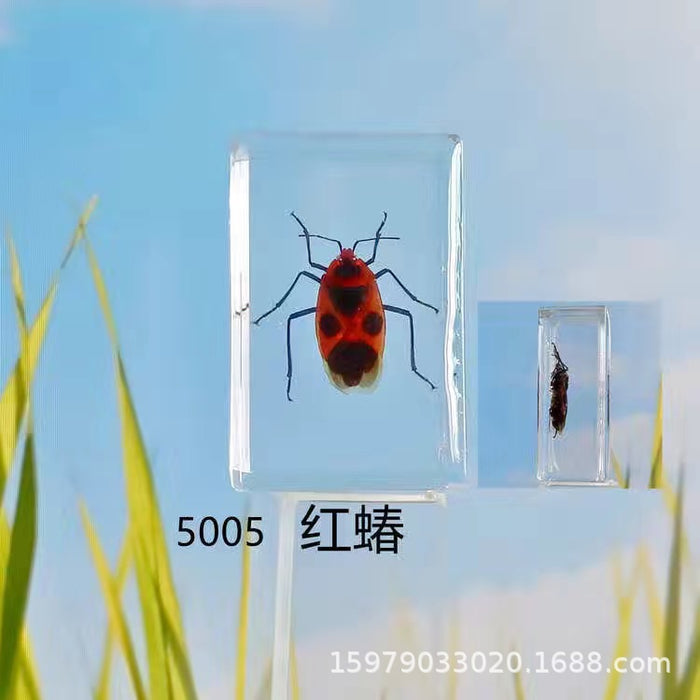 Wholesale Insect Specimen Crystal Glue Ornament MOQ≥2 JDC-IS-RongY002
