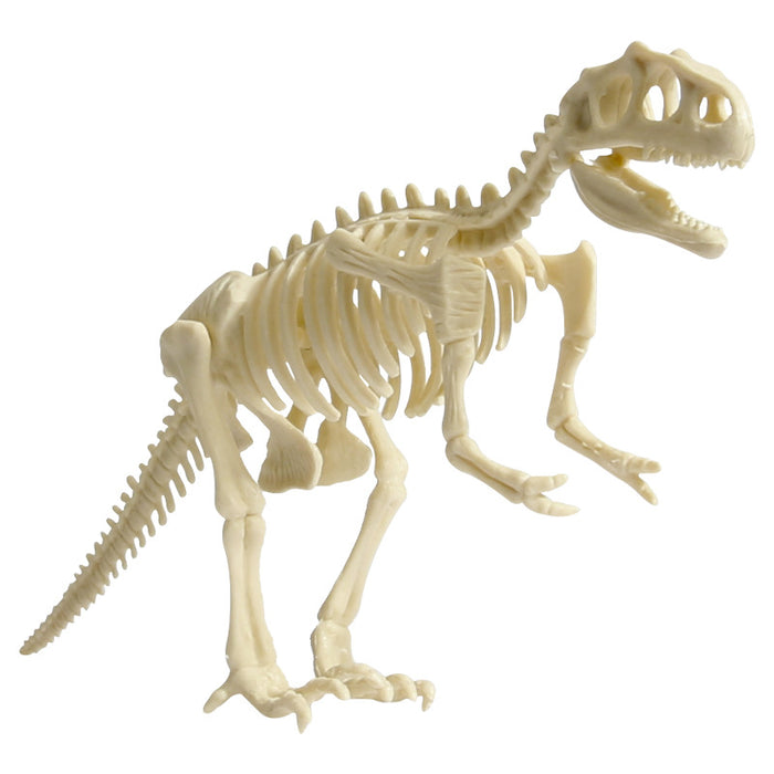 Diy de plástico de plástico de plástico de bricolaje para niños al por mayor Dinosaurio arqueológico MOQ≥2 JDC-FT-LeBaO001