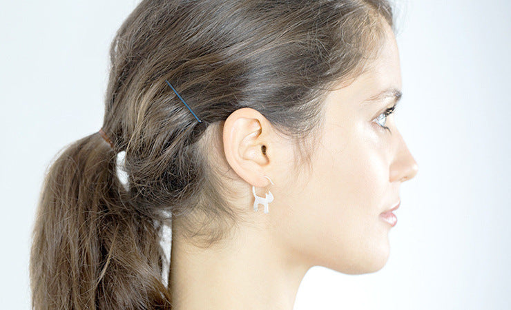 Wholesale Earrings Silver Cat Star Stud Earrings JDC-ES-Congz047