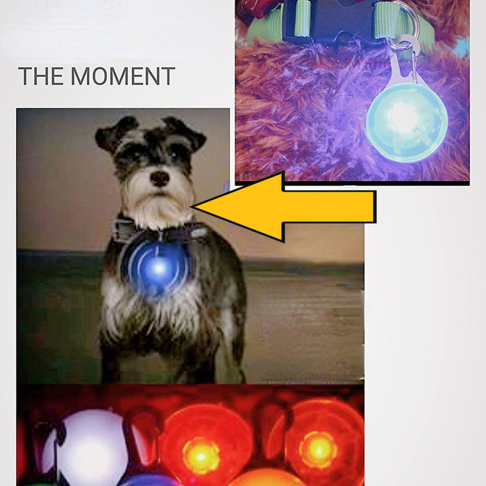 Wholesale random plastic pet led luminous pendant luminous anti-lost flash JDC-FT-XuanD002