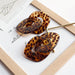Wholesale Acrylic Resin Leopard Print Alloy Earrings JDC-ES-XC344 Earrings 夏晨 Wholesale Jewelry JoyasDeChina Joyas De China