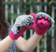 Wholesale all finger cartoon hedgehog gloves JDC-GS-GSTR007 Gloves JoyasDeChina rose red Average code Wholesale Jewelry JoyasDeChina Joyas De China