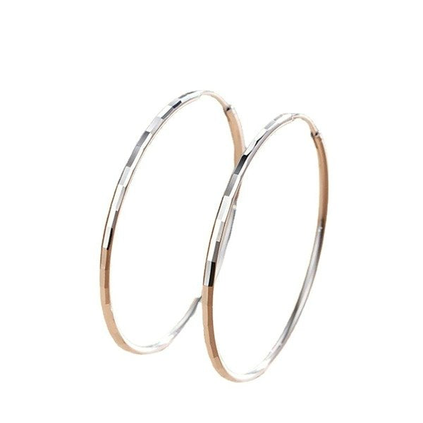 Wholesale alloy big circle earrings JDC-ES-QLX059 Earrings 巧兰轩 4CM Wholesale Jewelry JoyasDeChina Joyas De China