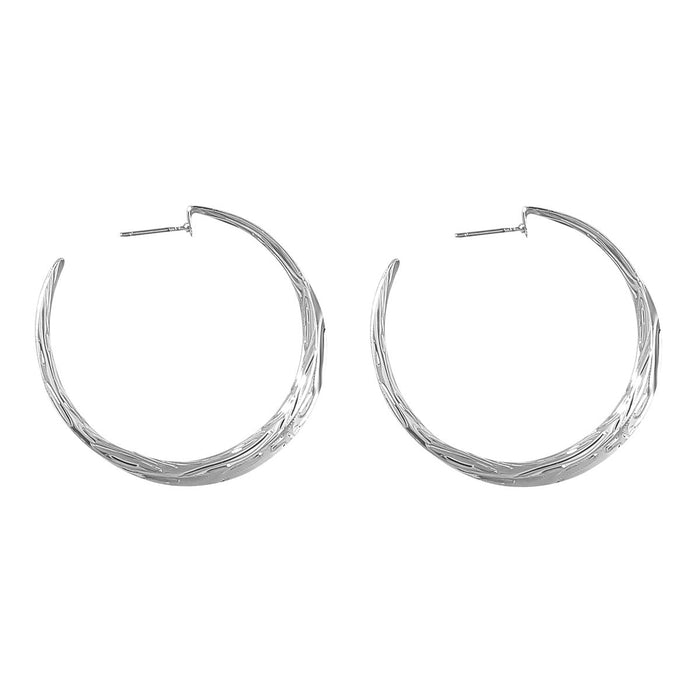 Wholesale Alloy C Shape Earrings JDC-ES-JL832 Earrings 氿乐 silver Wholesale Jewelry JoyasDeChina Joyas De China