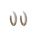 Wholesale alloy C-shaped Silver Earrings JDC-ES-BY071 Earrings 宝钰 Wholesale Jewelry JoyasDeChina Joyas De China