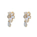 Wholesale alloy diamond inlaid white Earrings JDC-ES-BY-028 Earrings 宝钰 Wholesale Jewelry JoyasDeChina Joyas De China