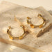 Wholesale alloy golden disc C-shaped earrings JDC-ES-JD329 Earrings 杰鼎 Wholesale Jewelry JoyasDeChina Joyas De China