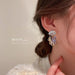 Wholesale Alloy Resin Tassel Earrings JDC-ES-BY184 Earrings 宝钰 Wholesale Jewelry JoyasDeChina Joyas De China