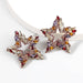 Wholesale Alloy Rhinestone Star Earrings JDC-ES-JL854 Earrings 氿乐 red Wholesale Jewelry JoyasDeChina Joyas De China