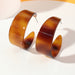Wholesale Amber Acrylic Earrings JDC-ES-NZ054 Earrings 奈珠 EZ1326 Wholesale Jewelry JoyasDeChina Joyas De China
