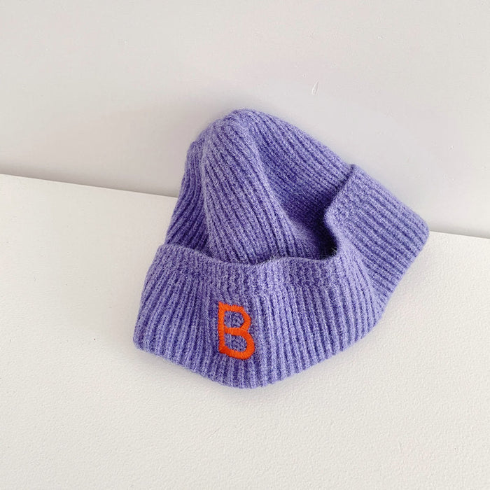 Wholesale B letter embroidered wool hat JDC-FH-LH034 FashionHat 旅禾 purple Wholesale Jewelry JoyasDeChina Joyas De China