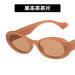 Wholesale black resin Sunglasses JDC-SG-KD126 Sunglasses 珂盾 Jelly Tea camellia oleifera abel. Metal hinge Wholesale Jewelry JoyasDeChina Joyas De China
