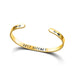 Wholesale black stainless steel bracelet JDC-BT-DingC003 Bracelets 顶潮 True gold Wholesale Jewelry JoyasDeChina Joyas De China