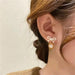 Wholesale Bowknot Tiger Alloy Earrings JDC-ES-XuF086 Earrings 旭帆 Wholesale Jewelry JoyasDeChina Joyas De China
