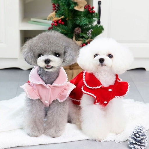 Wholesale Bowknot Woolen Pet Clothing pack of 2 JDC-PC-FP009 Pet Clothes 沣沛 Wholesale Jewelry JoyasDeChina Joyas De China