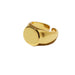 Wholesale brass gold plated rings JDC-RS-BaoLi046 Rings 宝莉 Tail Rings Inner diameter 1.5cm Wholesale Jewelry JoyasDeChina Joyas De China