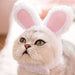 Wholesale cat lamb cashmere rabbit headgear Pet Decor pack of 2 JDC-PD-WQ005 Pet Decor 万奇 Wholesale Jewelry JoyasDeChina Joyas De China