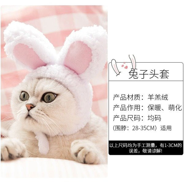 Wholesale cat lamb cashmere rabbit headgear Pet Decor pack of 2 JDC-PD-WQ005 Pet Decor 万奇 Wholesale Jewelry JoyasDeChina Joyas De China
