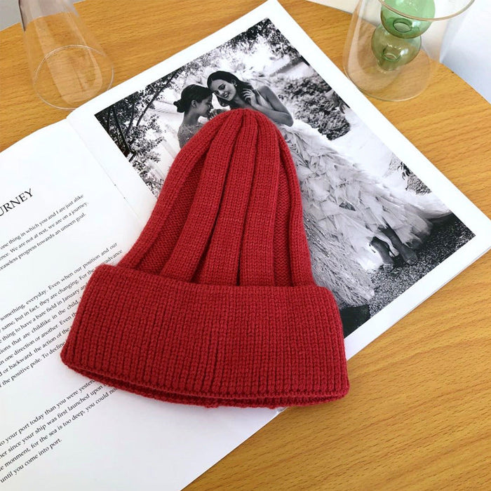 Wholesale colorful knitted hats JDC-FH-NLS028 Fashionhat 倪罗诗 Brick red1 55-58cm Wholesale Jewelry JoyasDeChina Joyas De China