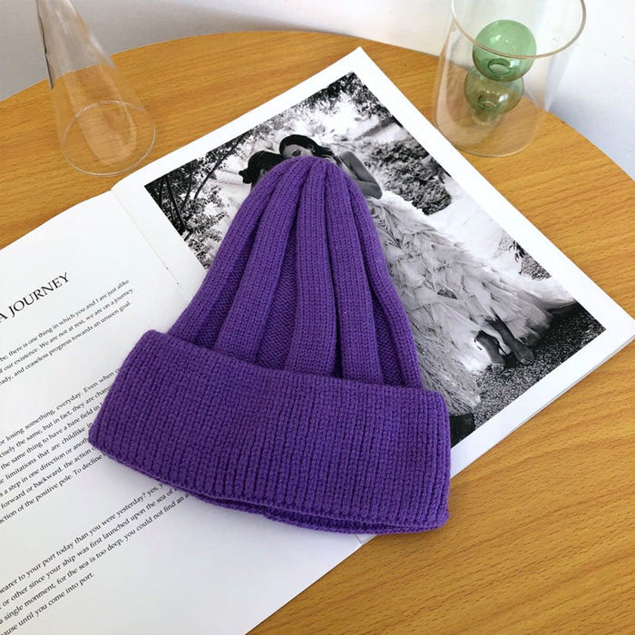 Wholesale colorful knitted hats JDC-FH-NLS028 Fashionhat 倪罗诗 purple1 55-58cm Wholesale Jewelry JoyasDeChina Joyas De China