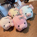 Wholesale Cute lazy pig plush keychain Cotton wool JDC-KC-JG059 Keychains 金葛 pink Bagged Wholesale Jewelry JoyasDeChina Joyas De China