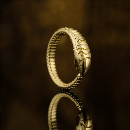 Wholesale Electroplated Copper Snake Rings JDC-RS-AG346 Rings 澳古 Wholesale Jewelry JoyasDeChina Joyas De China