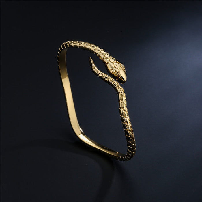 Wholesale Electroplated Copper Zircon Snake Bracelet JDC-BT-AG035 Necklaces 澳古 Wholesale Jewelry JoyasDeChina Joyas De China