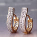 Wholesale electroplated metal earrings JDC-ES-WN003 Earrings 薇妮 AER121 Wholesale Jewelry JoyasDeChina Joyas De China