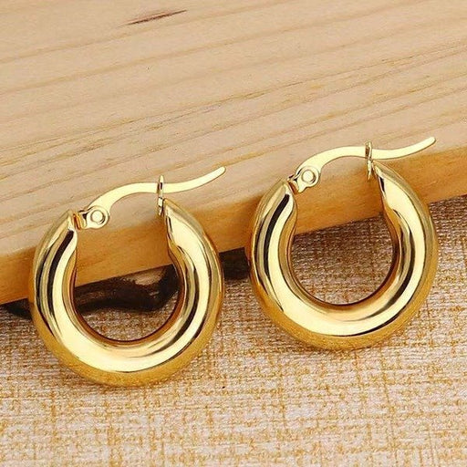 Wholesale Gold Color Zinc Alloy Earrings JDC-ES-WN023 Earrings 薇妮 Wholesale Jewelry JoyasDeChina Joyas De China