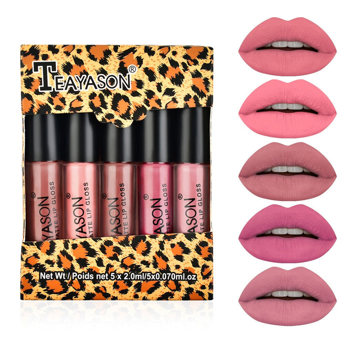 Wholesale matte matte nude pumpkin color five mini set box lip gloss lipstick JDC-MK-XuQ002 lipstick 徐芹 1 Wholesale Jewelry JoyasDeChina Joyas De China