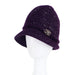 Wholesale new plush thickened warm wool hat JDC-FH-GSXR009 Fashionhat 新锐 purple Average code Wholesale Jewelry JoyasDeChina Joyas De China
