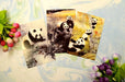 Wholesale panda 350g pearl paper postcards 20 sheets/set MOQ≥5 JDC-GC-Hengm018 Greeting Card 恒美 Wholesale Jewelry JoyasDeChina Joyas De China