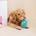 Wholesale pet vocal plush toy dog molars pack of 2 JDC-PT-FP044 Pet Toy 沣沛 Wholesale Jewelry JoyasDeChina Joyas De China