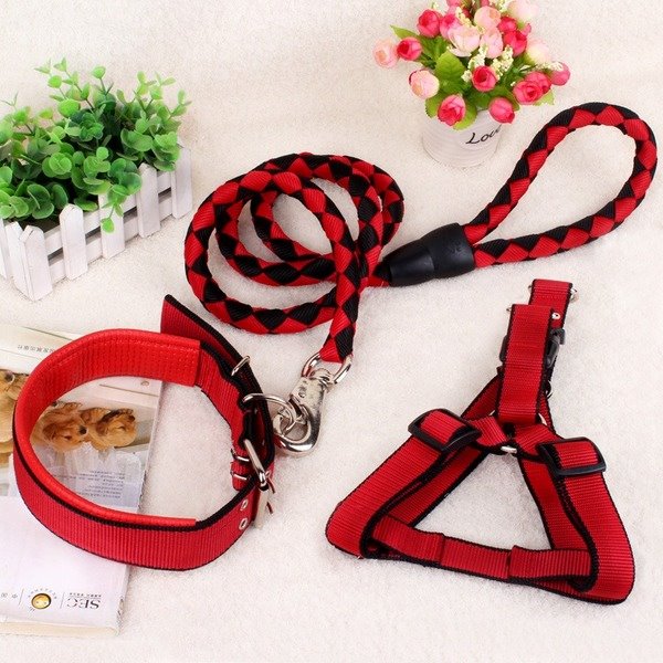 Wholesale PP pet leash three-piece set JDC-PL-PDM004 Pet Leash 派多萌 Wholesale Jewelry JoyasDeChina Joyas De China