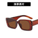 Wholesale square resin lens sunglasses JDC-SG-GSKD036 Sunglasses JoyasDeChina dark brown As shown Wholesale Jewelry JoyasDeChina Joyas De China