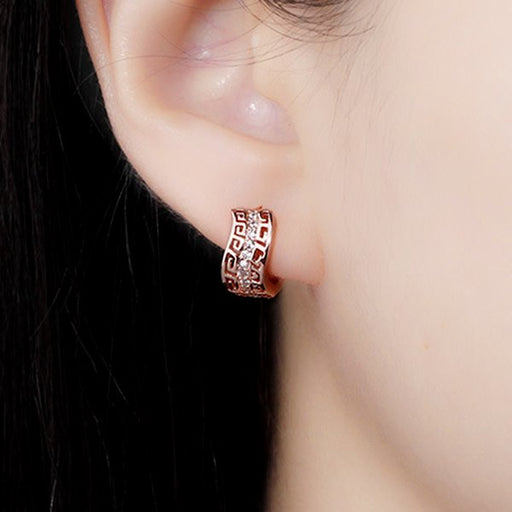 Wholesale Sterling Silver Jewelry silver plated copper zircon earrings JDC-ES-QLX010 Earrings 巧兰轩 Wholesale Jewelry JoyasDeChina Joyas De China
